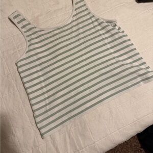 Madewell White and Muted Green Crop Tank Top